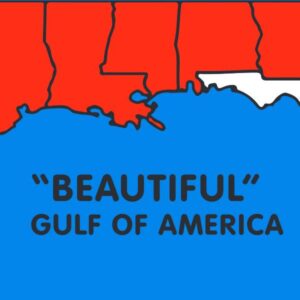 Beautiful Gulf of America flag - FL